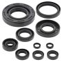 Vertex Pistons 822304 Vertex Gaskets 02-23 Yamaha YZ250 Oil Seal Kit