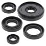 Vertex Pistons 822196 Vertex Gaskets 90-09 Yamaha PW50 Oil Seal Kit