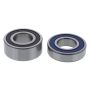 All Balls Racing 25-1778 17-21 Polaris ACE 150 Wheel Bearing Kit Rear