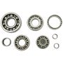 Hot Rods HR00076 16-21 Pioneer 500/07-21 TRX 420 FE/07-21 TRX 420 FM Transmission Bearing Kit