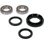 Pivot Works 25-1029-P Wheel Bearing Kit
