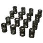 Howards Racing Components 98643 (Vss) Springs