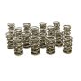 PAC RACING SPRINGS PACPAC-1386-16 1.564 Dual Valve Springs (16)