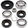 All Balls Racing 25-2016 99-02 Kawasaki KVF300A Prairie 4x4 Differential Bearing & Seal Kit Front