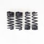 RS-R T594D 2022 Lexus IS500 Down Sus Springs