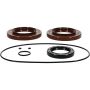 All Balls Racing 25-2139 15-17 Arctic Cat 500 EFI 4x4 w/AT Differential Bearing & Seal Kit Rear