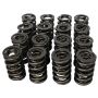 Howards Racing Components 98442 (Vss) Springs