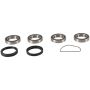 Pivot Works PWRWK-C09-000 10-13 Can-Am DS 450 PW Rear Wheel Bearing Kit