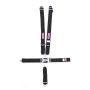 RJS SAFETY RJS1128601 5-Pt Harness System BK Ind Bolt In Mt 3in Sub
