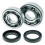 QuadBoss 413259 88-06 Yamaha YFS200 Blaster Crankshaft Bearing & Seal Kit