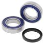 All Balls Racing 25-1709 06-09 Arctic Cat 250 2x4 Wheel Bearing Kit Rear