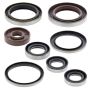Vertex Pistons 822320 Vertex Gaskets 05-12 KTM SX-F 250 Oil Seal Kit