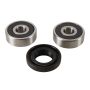 Pivot Works PWFWK-H33-000 1980 Honda MT50 (Euro) PW Front Wheel Bearing Kit