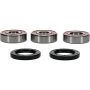 Pivot Works 25-1784-P Honda Wheel Bearing Kit Premium Bearings