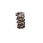 COMP Cams Valve Spring 2.100in Triple Dr