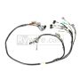 Rywire Honda B/D-Series Mil-Spec Engine Harness (OBD2)