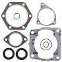Vertex Pistons 811807 Vertex Gaskets 94-95 Polaris 300 2x4 Complete Gasket Kit w/ Oil Seals