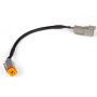 Haltech HT-130045 CAN Adaptor Loom DT-4 to DTM-4