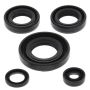 Vertex Pistons 822230 Vertex Gaskets 03-06 Kawasaki KFX50 Oil Seal Kit