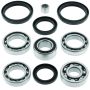 QuadBoss 413014 2004 Arctic Cat 300 4x4 Front Differential Bearing & Seal Kit