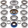 All Balls Racing 25-2085 14-16 Polaris ACE 325 Transaxle Bearing & Seal Kit