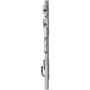 Reach International 31-3788 A/C Condenser