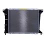 Reach International 41-1095 Radiator