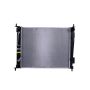 Reach International 41-13135 Radiator