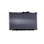 Reach International 41-19 Radiator