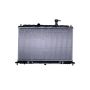 Reach International 41-2820 Radiator