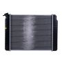 Reach International 41-955 Radiator