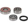 Pivot Works 25-1588-P Triumph Wheel Bearing Kit Premium Bearings