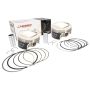 Wiseco K0209PS Tracker Series HD TC96-103cid 10.5:1 CR