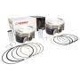 Wiseco K0216PS Tracker Series 1340 EVO Domed 10:1 CR
