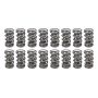 PAC RACING SPRINGS PACPAC-1356-16 1.500 Dual Valve Springs - (16)