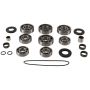 All Balls Racing 25-7001 00-03 Polaris Big Boss 500 6x6 Transmission Rebuild Kit