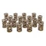 PAC RACING SPRINGS PACPAC-1908-16 Valve Springs - HR Series (16)