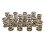 PAC RACING SPRINGS PACPAC-1228-16 1.625 Dual Valve Springs - (16)