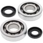 All Balls Racing 24-1047 02-07 Kawasaki KX250 Crank Shaft Bearing Kit