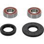 Pivot Works 25-1075-P Honda Wheel Bearing Kit Premium Bearings