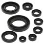 Vertex Pistons 822351 Vertex Gaskets 15-16 Honda TRX420 FA IRS Oil Seal Kit