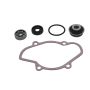Vertex Pistons 721312 Vertex Gaskets 16-18 Ski-Doo Expedition 800 2-Stroke ETEC Water Pump Rebuild Kit