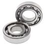 All Balls Racing 24-1059 21-23 Kawasaki KLX230 Crank Shaft Bearing Kit
