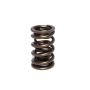 COMP Cams Valve Spring 1.550in Dual