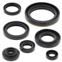 Vertex Pistons 822134 Vertex Gaskets 94-95 Suzuki RM250 Oil Seal Kit