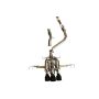 Invidia HS22CTRFGM3SBL 22+ HONDA CIVIC TYPE-R FL5 R400 SINGLE LAYER BLACK TIP CAT-BACK (NON POLISH PIPE)