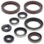 Vertex Pistons 822359 Vertex Gaskets 09-11 KTM EXC 400 Oil Seal Kit
