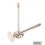 GSC Power Division 2257-01 GSC P-D Audi DAZA 28mm Head STD 101.8mm Long Chrome Polished Exhaust Valve - Single