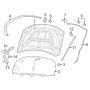 Mopar 55113748AA PROP, Hood