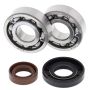 All Balls Racing 24-1101 02-03 KTM JR ADV 50 Crank Shaft Bearing Kit